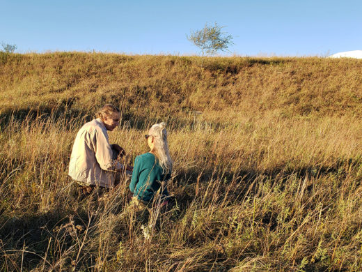 Bell Bowl Prairie