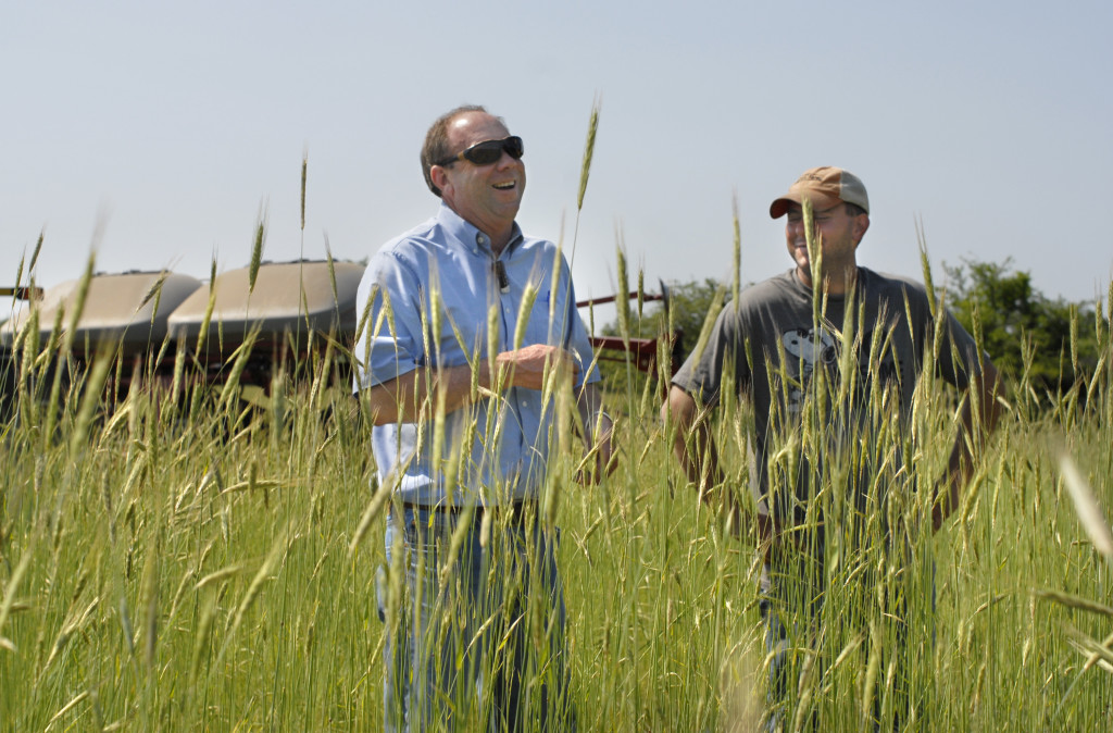 PHOTO BY CLARE HOWARD Major changes in agriculture are occurring throughout central Illinois as farmers shift away from chemicals and toward organic practices. Here farm manager Rob Woodrow, left, checks as soybeans are planted into a field of cereal rye that is then crimped five times, forming a thick mulch mat that suppresses weeds as the organic soybeans grow. Now in its second year transitioning to organics, this field had only three small clusters of weeds and none of the super weeds taking over chemical fields. Woodrow, who manages about 40,000 acres of farmland in Illinois, Wisconsin, Minnesota and Iowa with his partner in Farmland Solutions LLC, expects more of his clients will transition to organic so he makes a point of studying new as well as proven research in organic crop production.