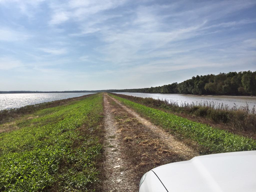 PHOTO BY MIKE MILLER Mike Miller and his wife Cyndi drive along 8 miles of roadway over the levee at Chautauqua National Wildlife Refuge. Gates are opened several times a year to allow drivers on the levee road, providing a great opportunity for bird watchers.