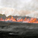 Prescribed burn