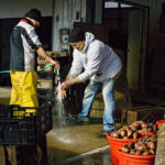 Organic farmer Henry Brockman